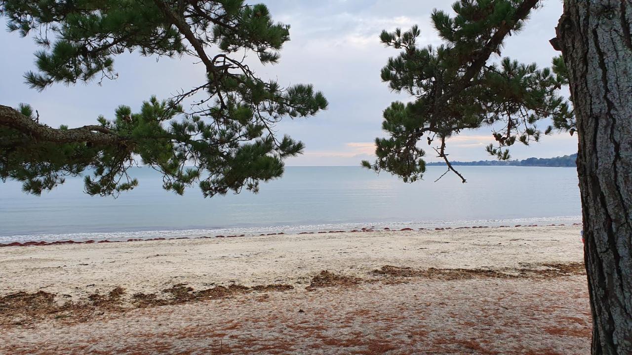 Vacances Ô Cap Coz - Jardin vue mer et piscine - Résidence Cap Azur Fouesnant Extérieur photo